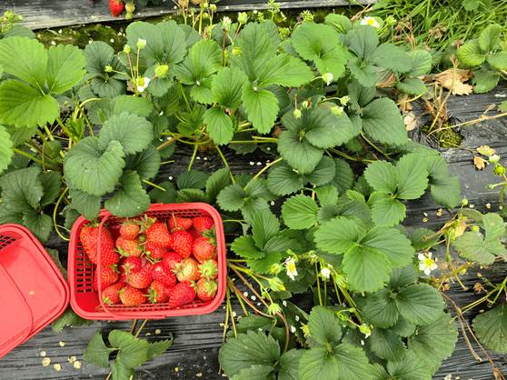 微信图片_20260322224717